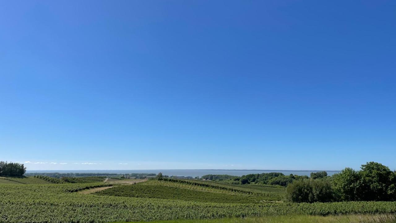Domki Letniskowe Mts Sloneczne Wzgorze トルクミツコ エクステリア 写真